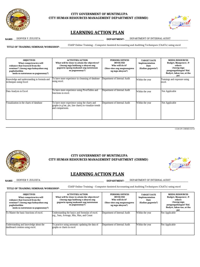 Learning Action Plan LAP Form DENZ CIASP | PDF | Internal Audit | Data ...