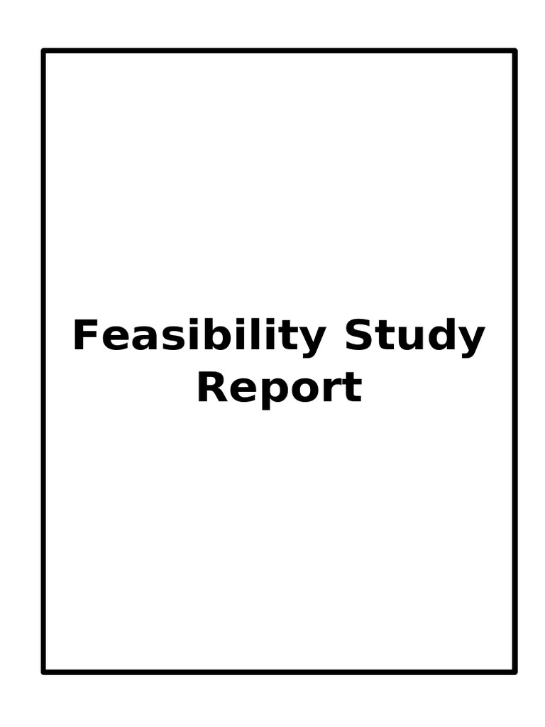 Feasibility Study | PDF
