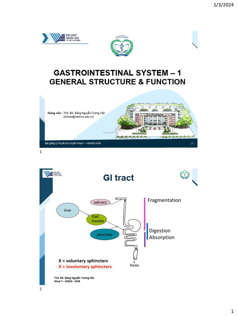 GI System 1 - General Structure, General Function | PDF
