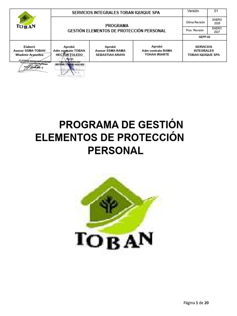 Gepp-02 Programa de Gestión de Epp Servicios Integrales | PDF | Chile