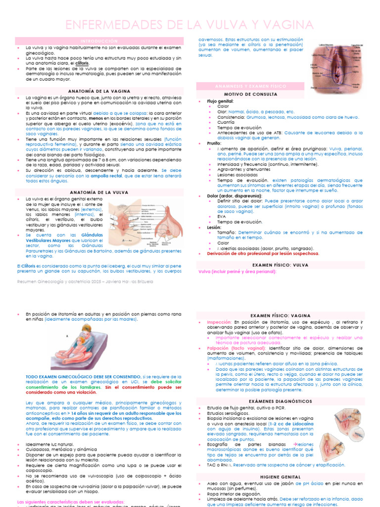 enfermedades-de-la-vulva-y-vagina-pdf-vagina-cl-toris
