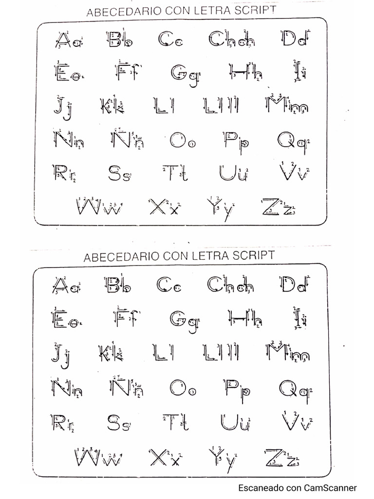 Abecedario Script | PDF