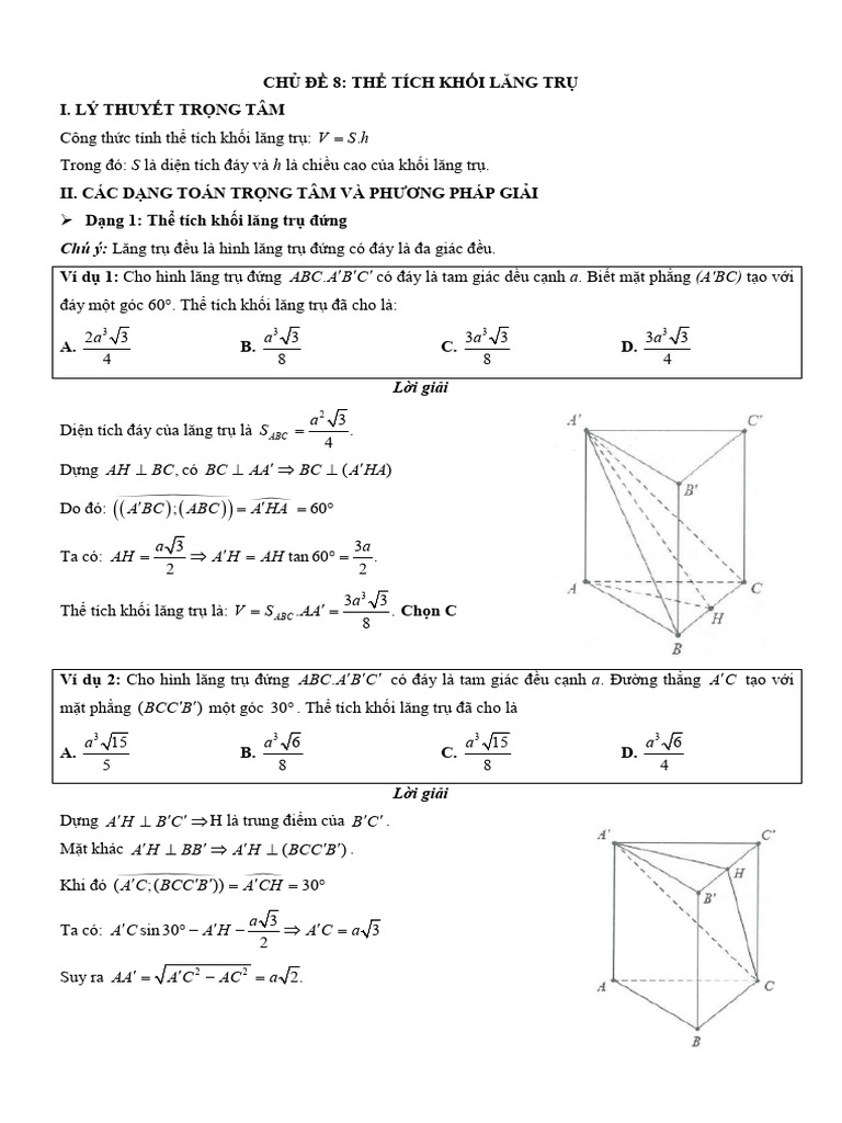 Chuyen de Trac Nghiem The Tich Khoi Lang Tru | PDF