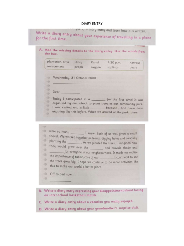 Diary Entry | PDF