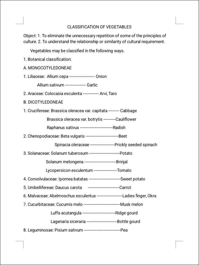 Classification of Vegetables | PDF | Vegetables | Onion