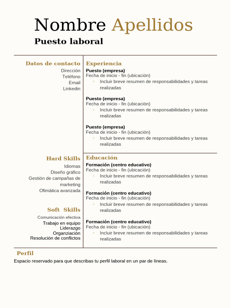 Modelo de CV Profesional | PDF