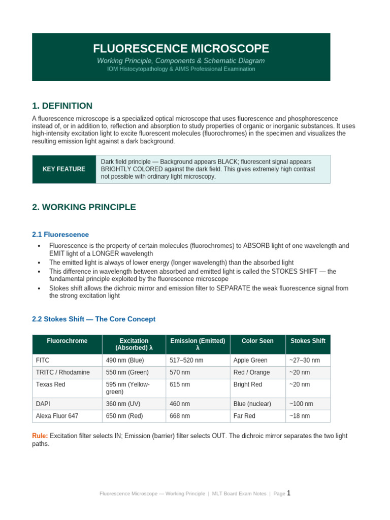 Fluorescence Microscope | PDF | Fluorescence Microscope | Fluorescence