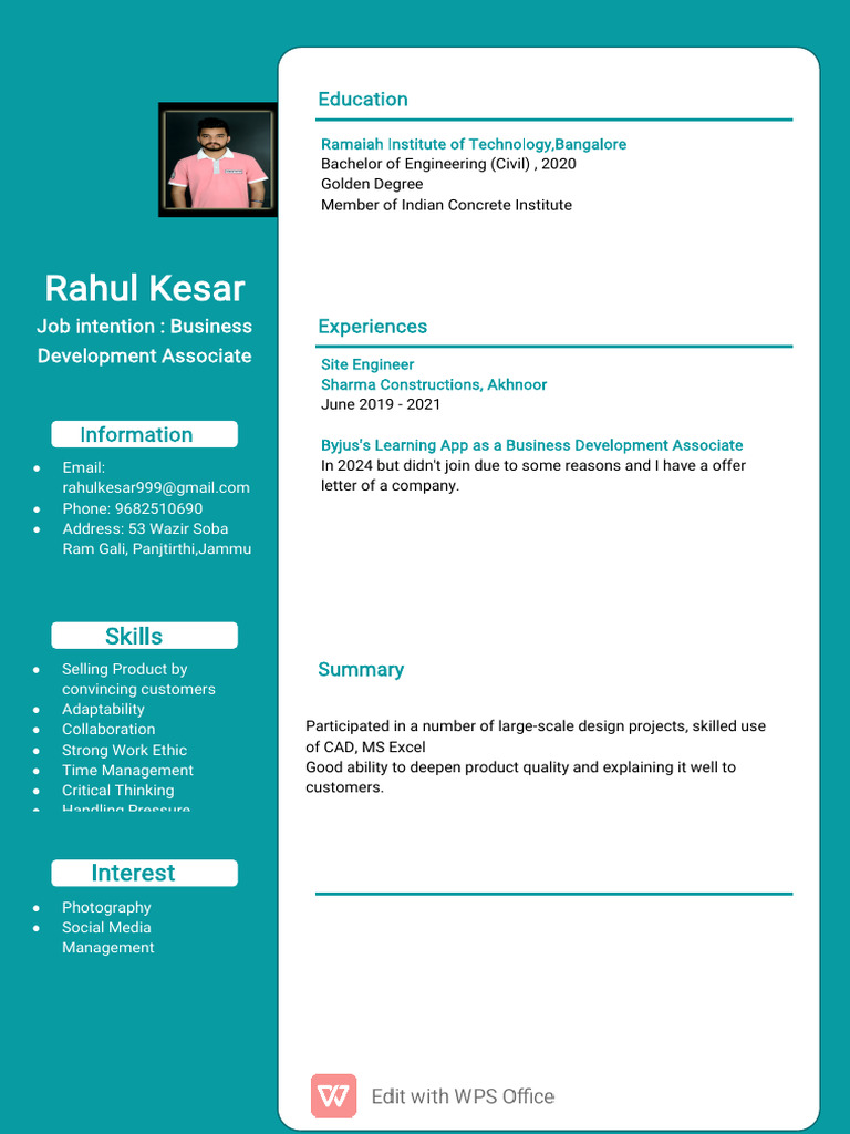 Simple Professional Resume-WPS Office | PDF