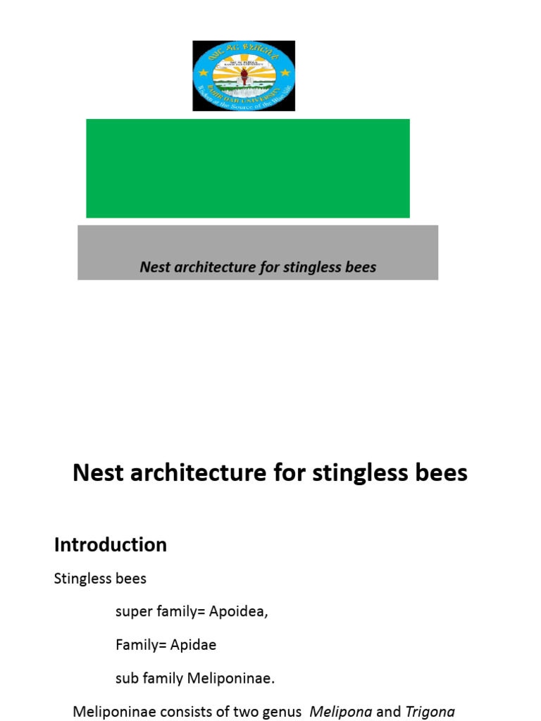Stingless Bee | PDF | Bees | Beekeeping