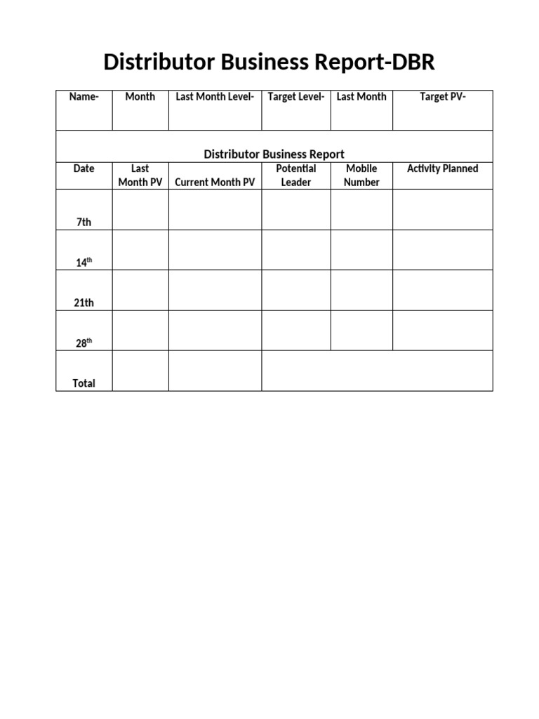 Distributor Business Report | PDF