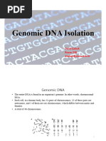 DNA Purification Protocol with DNeasy Kit | PDF | Lysis | Biology