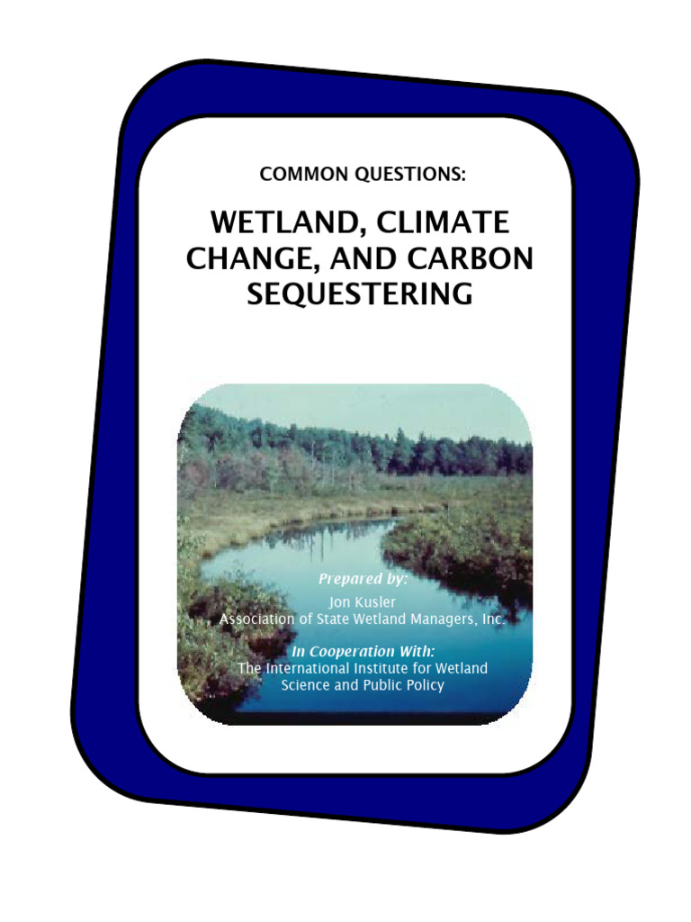 Wetland, Climate Change, and Carbon Sequestering | PDF | Wetland ...