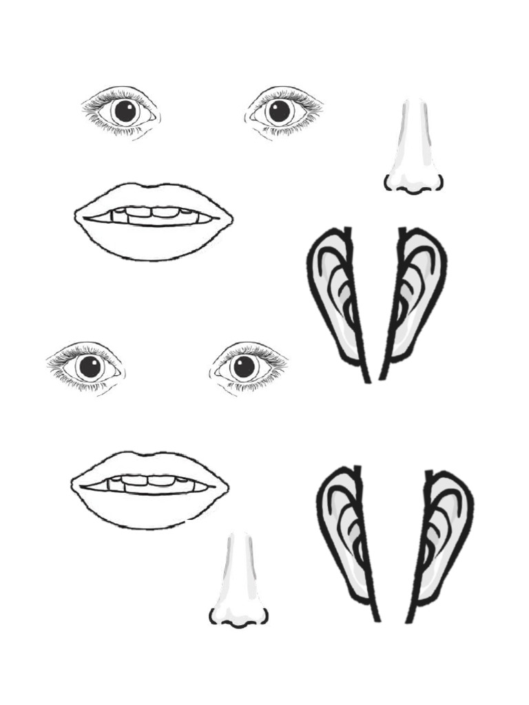 Face Templates | PDF