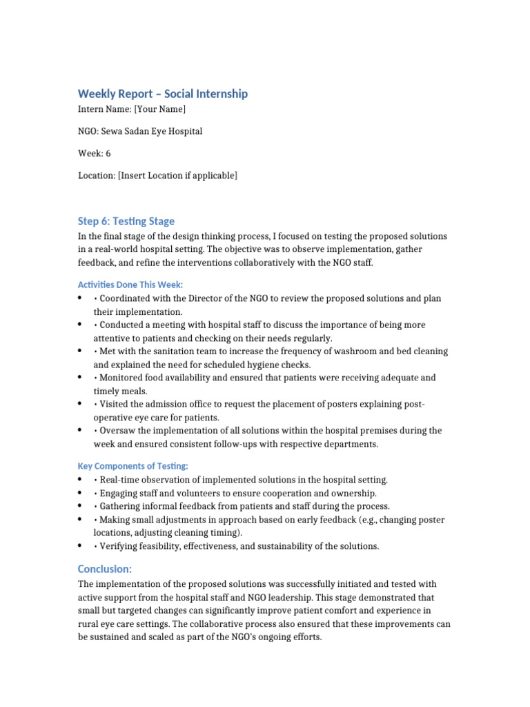 Weekly Report Week 6 Testing | PDF