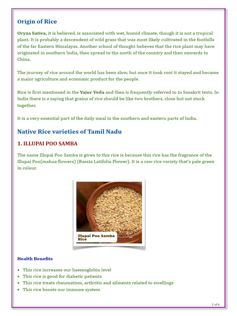 Native Rice Varieties of Tamil Nadu | PDF | Rice | Dietary Fiber