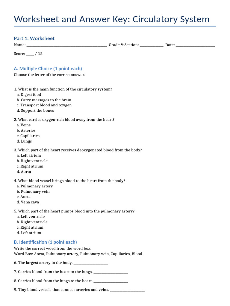 Circulatory System Worksheet and Answer Key | PDF | Circulatory System ...