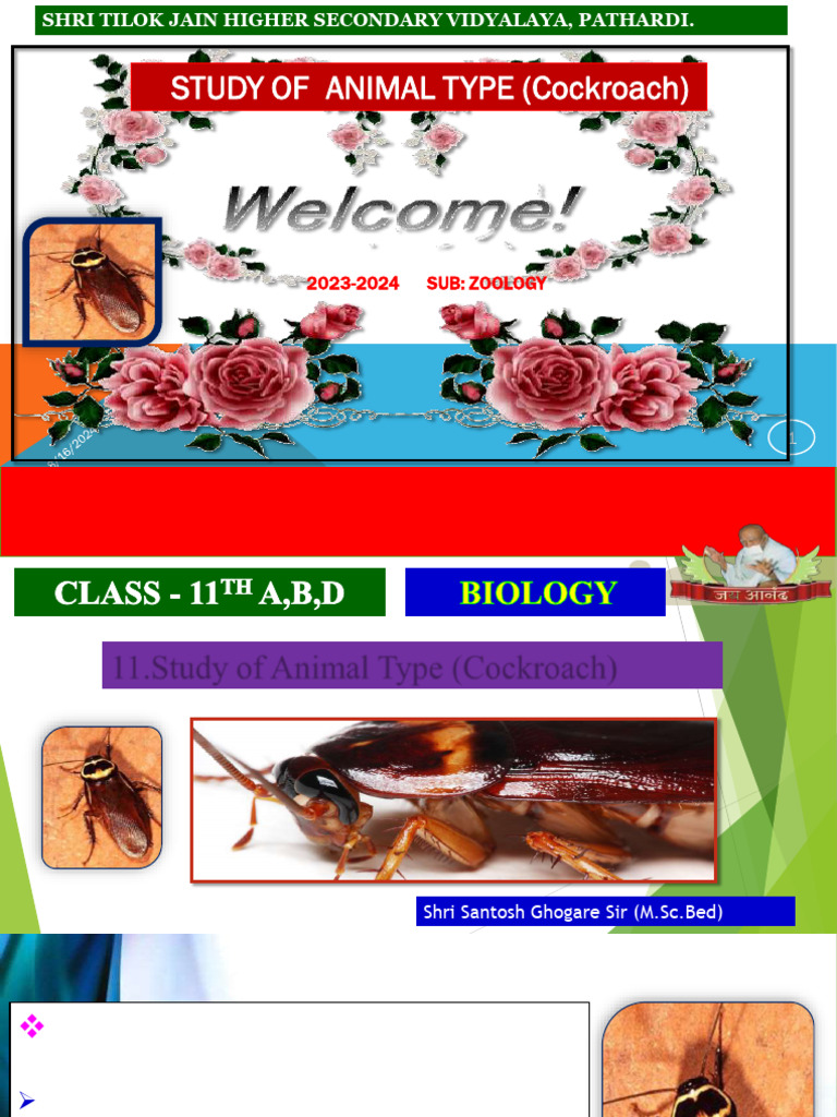 Chapter.11.Study of Animal Type - (Cockroach) | PDF | Animal Anatomy ...
