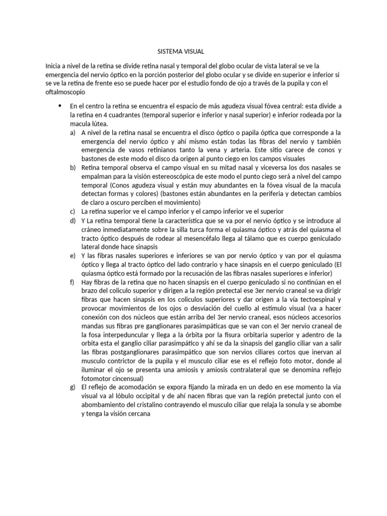 Sistema Visual | PDF | Percepción visual | Gusto