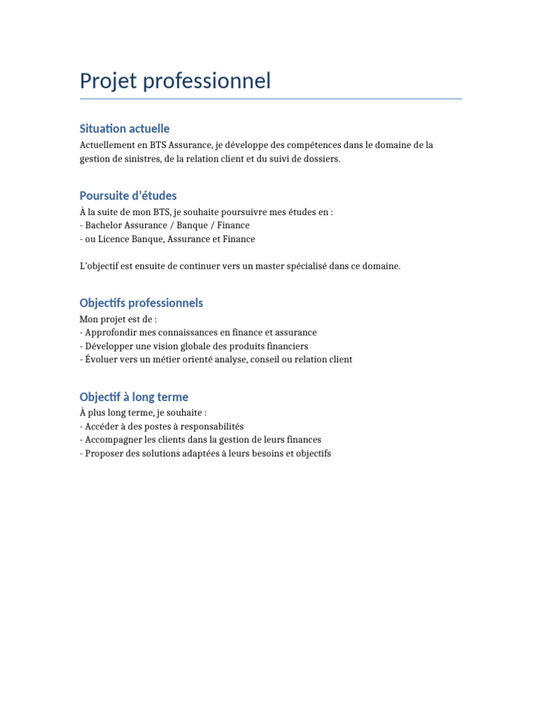 Projet Professionnel | PDF