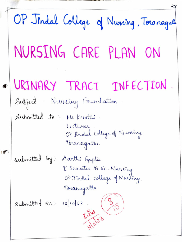 Nursing Care Plan For Urinary Tract Infection | PDF