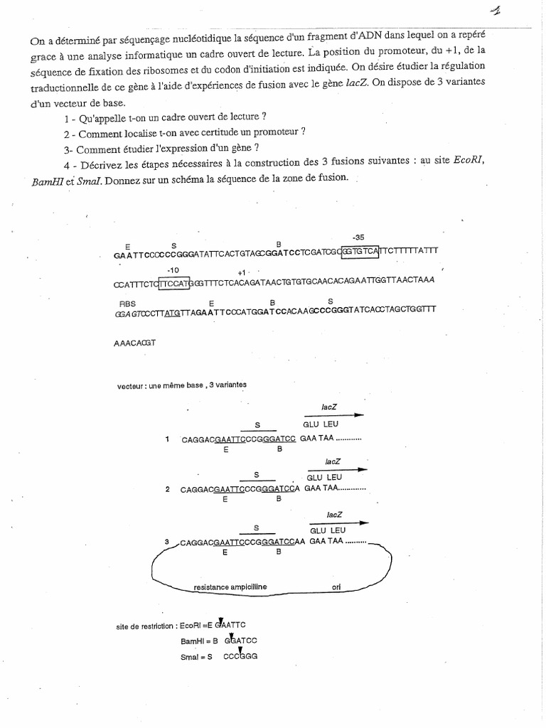 TD Gen Micro | PDF