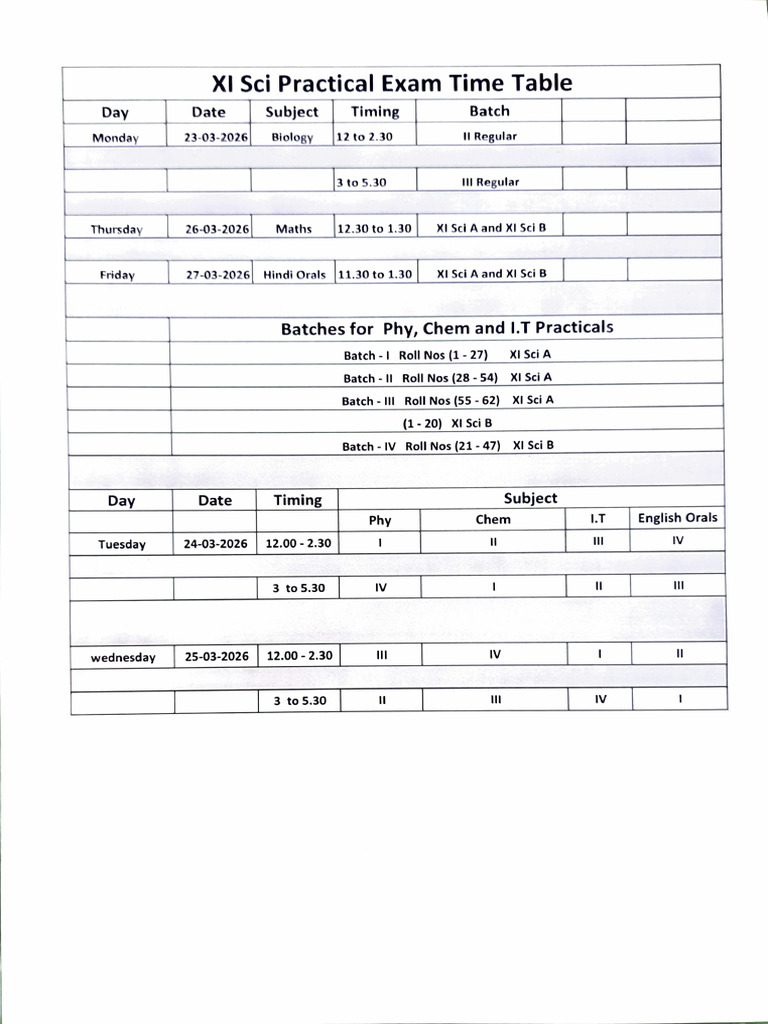 XI Science Practical Exam Time Table | PDF