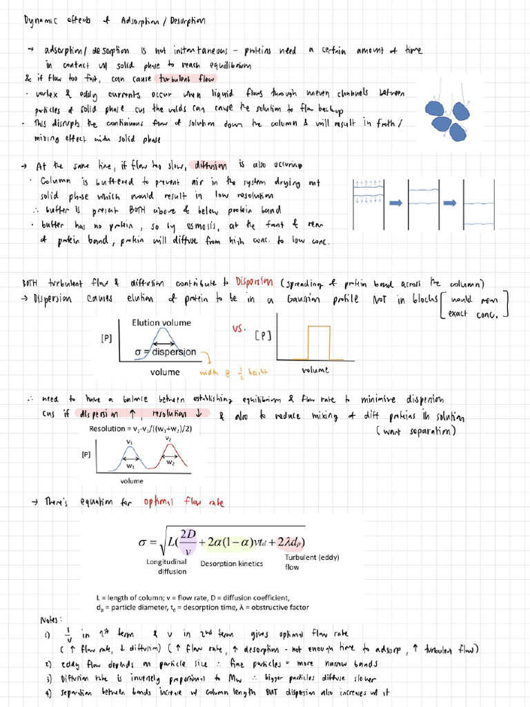 SBL2-3 Notes (SD) | PDF