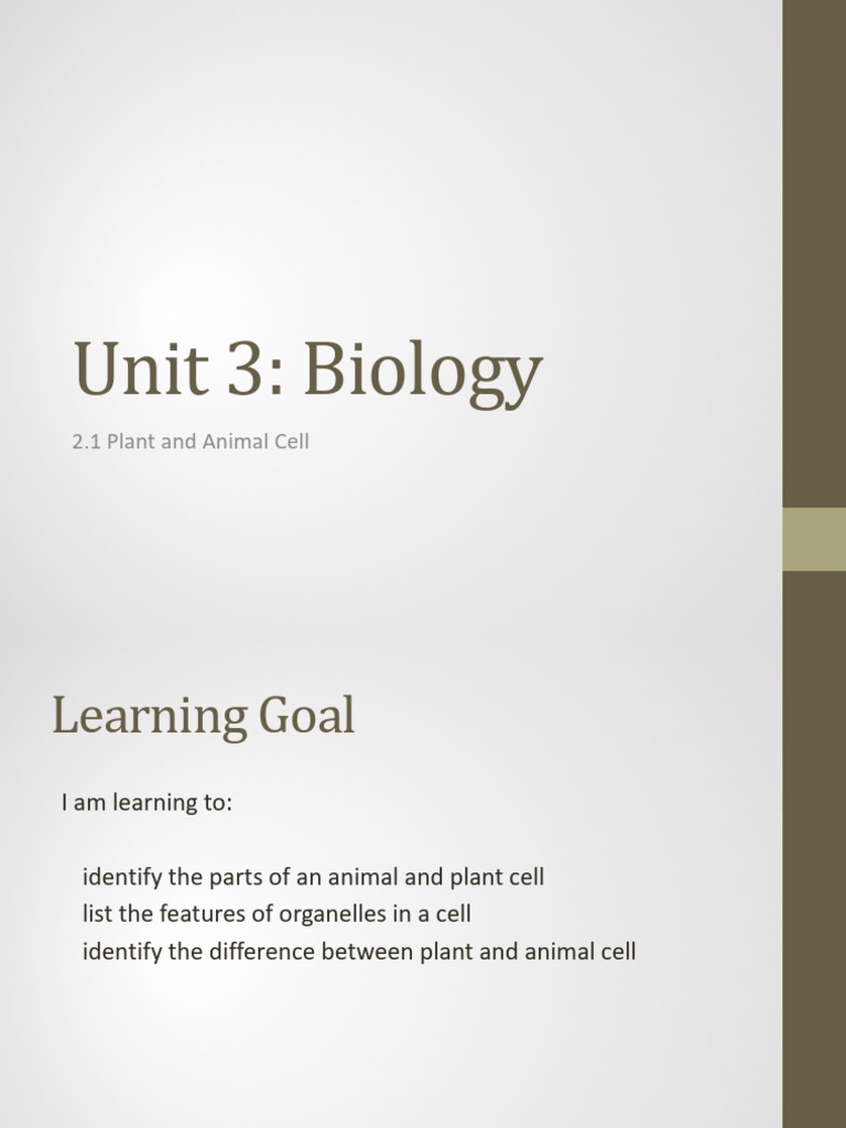 Lesson 1 - Plant and Animal Cell | PDF | Cell (Biology) | Cell Membrane