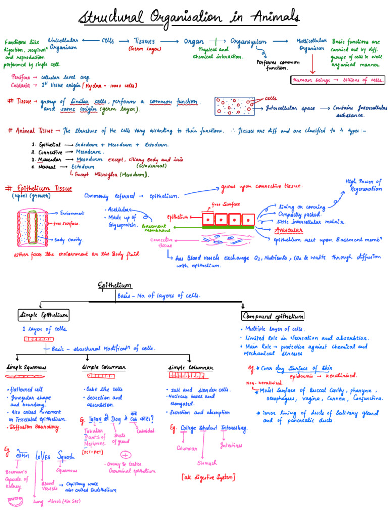 Notes Structural | PDF