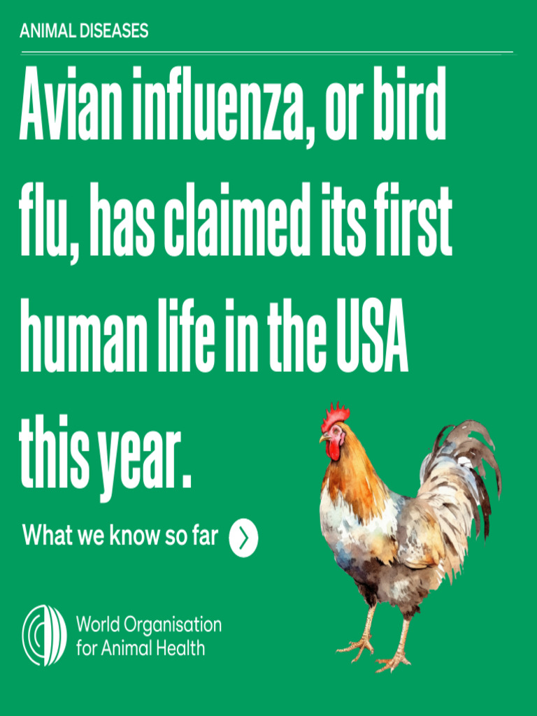 Avian Influenza - An Update | PDF