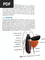 NCERT Cockroach Anatomy Overview | PDF | Anatomy