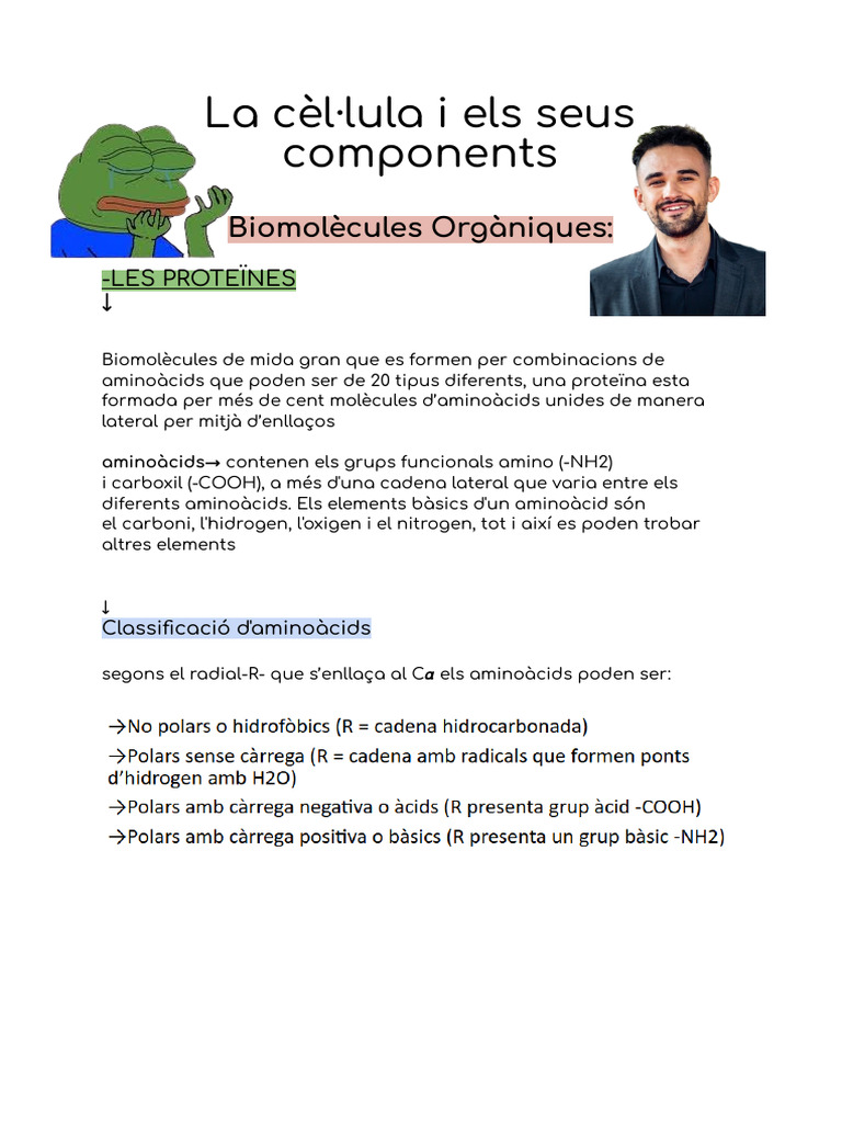 Bio pt.2 | PDF