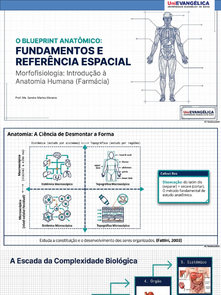 FAR Introdução A Anatomia Humana NLM | PDF