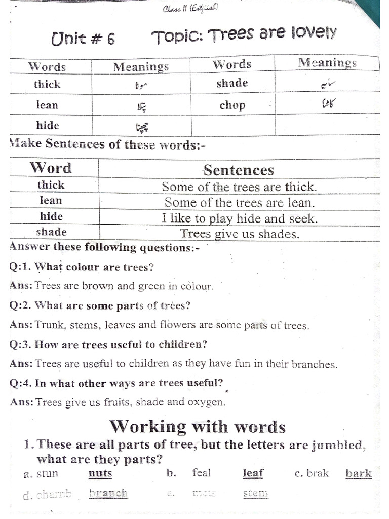English 2nd Term Notes Class 2 | PDF