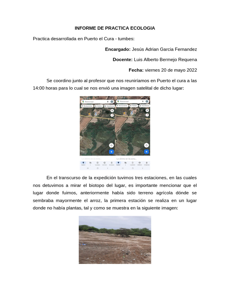 Informe de Practica Ecologia | PDF | Arboles | Ecosistema