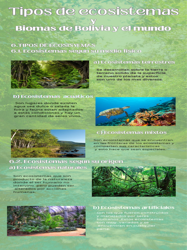 Tipos de Ecosistemas | PDF | Ecosistema | Clima templado