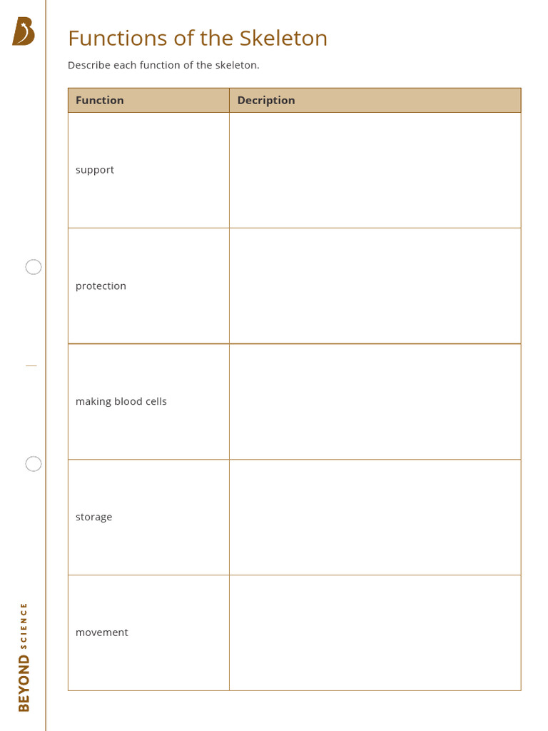 Functions of The Skeleton Worksheet | PDF