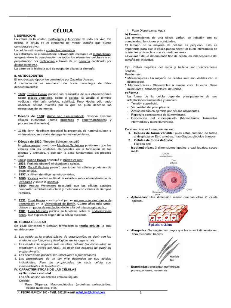 1 Celula Procariota | PDF | Biología Celular) | Las bacterias