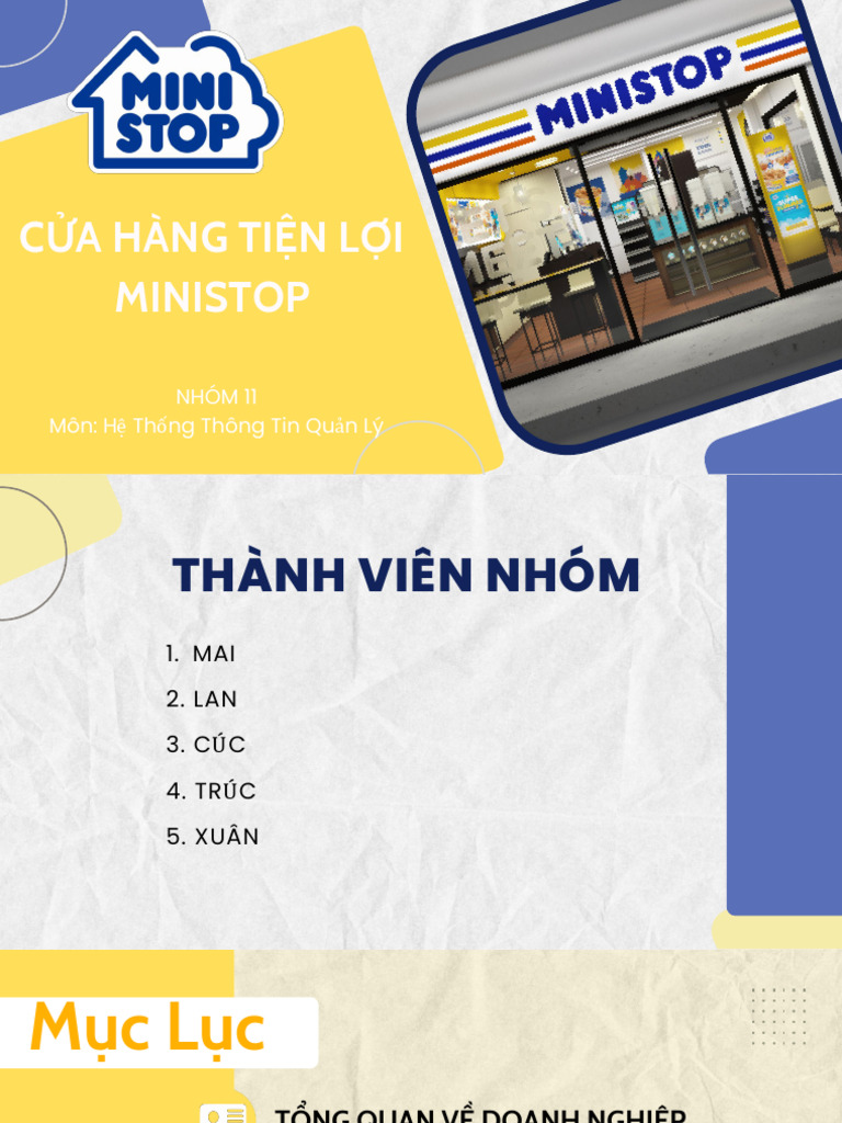 Mini Stop - Odoo | PDF