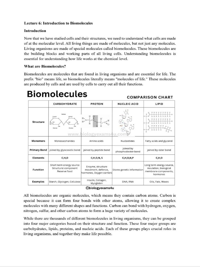 Biology Unit 2 | PDF