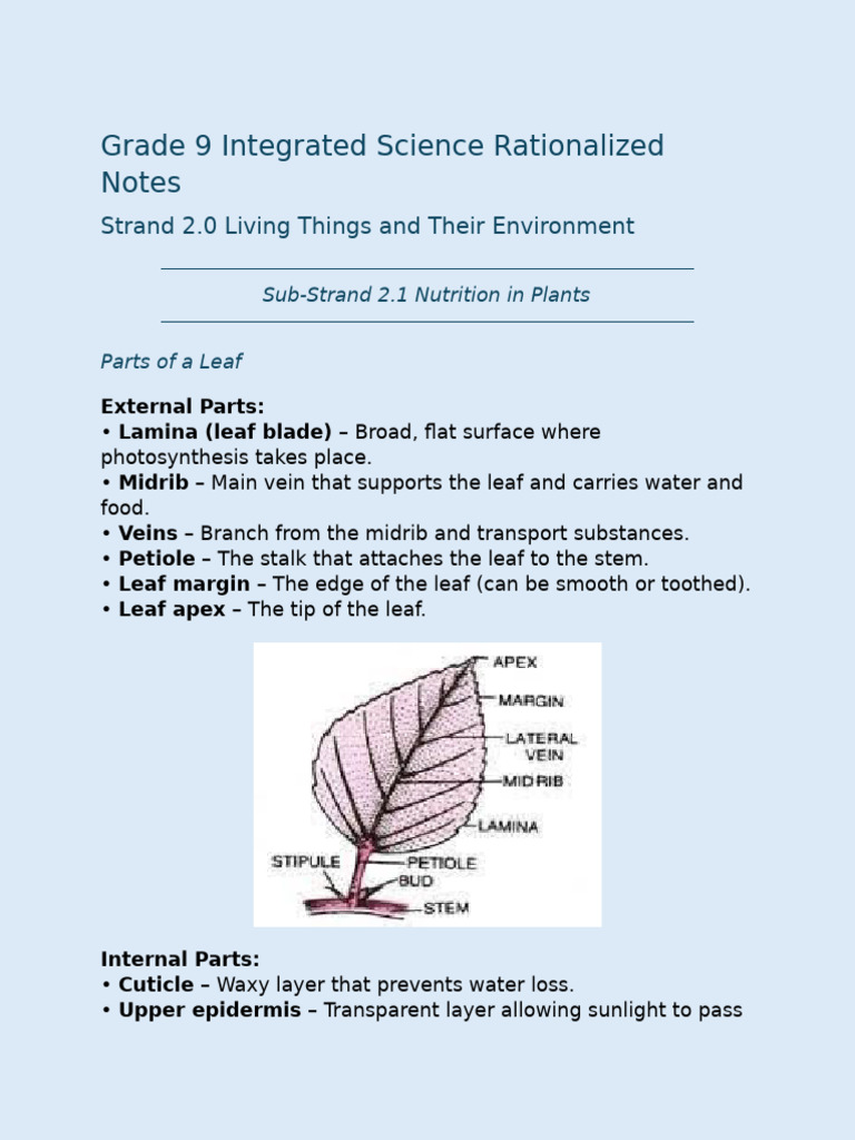 Grade 9 Integrated Science Strand 2 Living Things and Their Environment ...