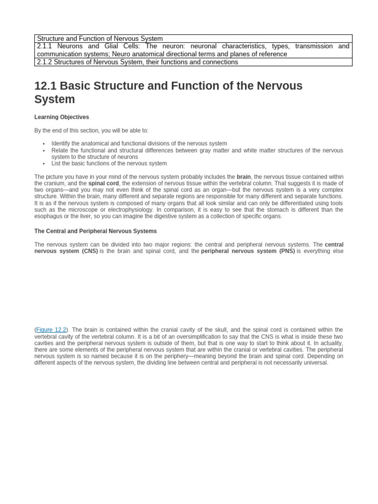 Structure and Function of Nervous System | PDF