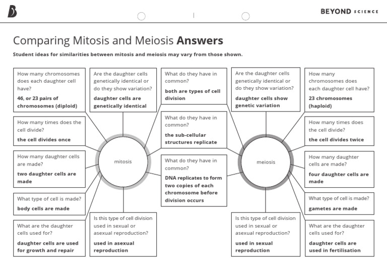 Comparing Mitosis and Meiosis Questions - Answers | PDF