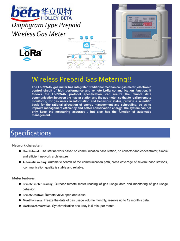 Brochure of Prepaid Gas Meter | PDF