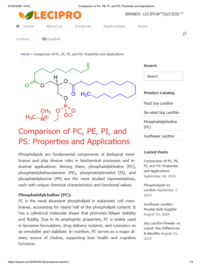 Comparison of PC, PE, PI, and PS - Properties and Applications | PDF ...
