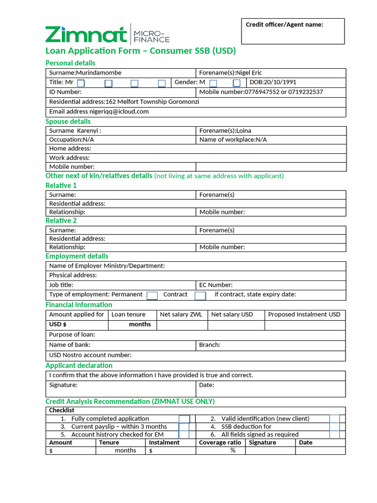 Converted - Loan Application Form - Consumer SSB USD | PDF