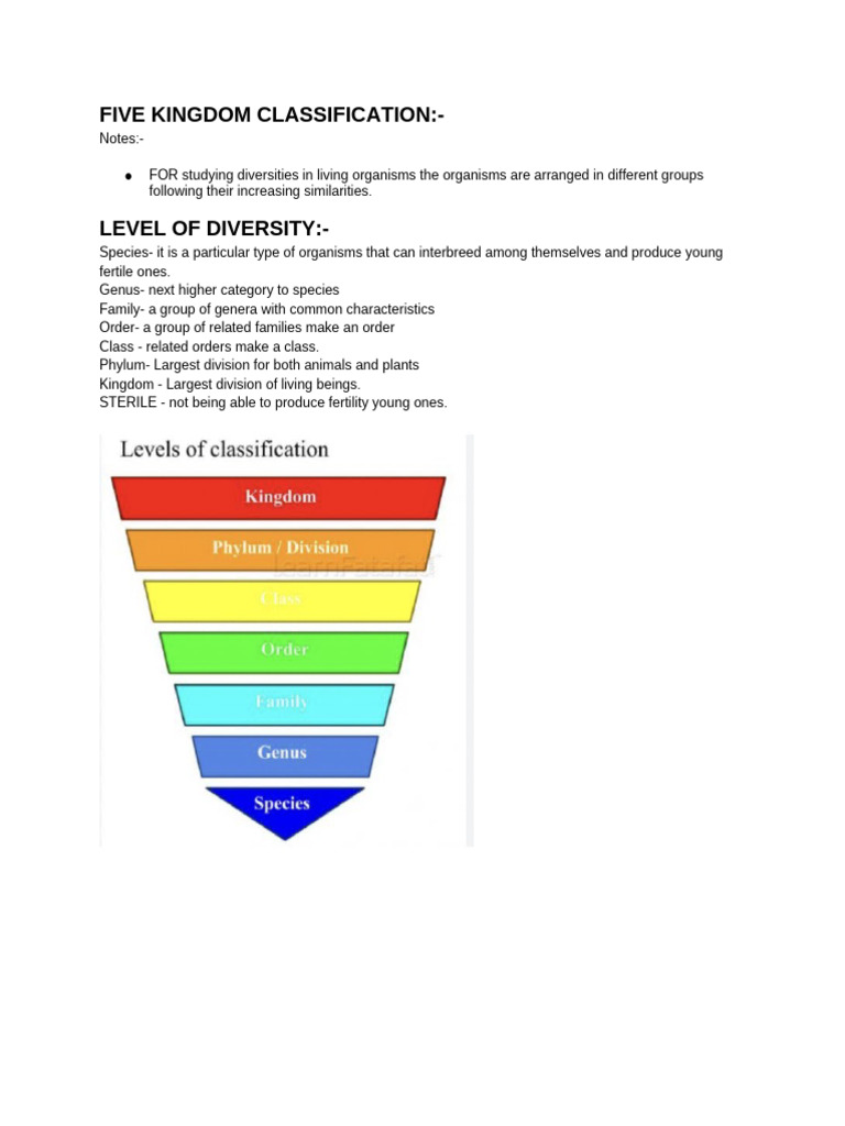 Five Kingdom Classification | PDF | Plants | Leaf