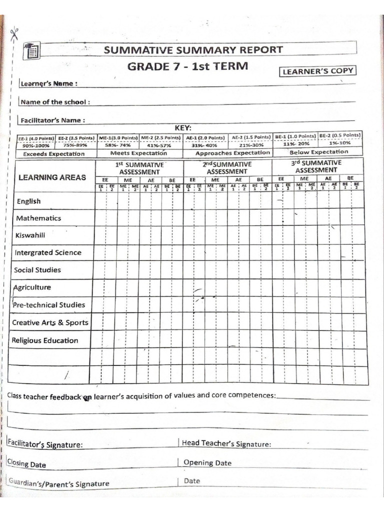 Grade 7 Report Form | PDF