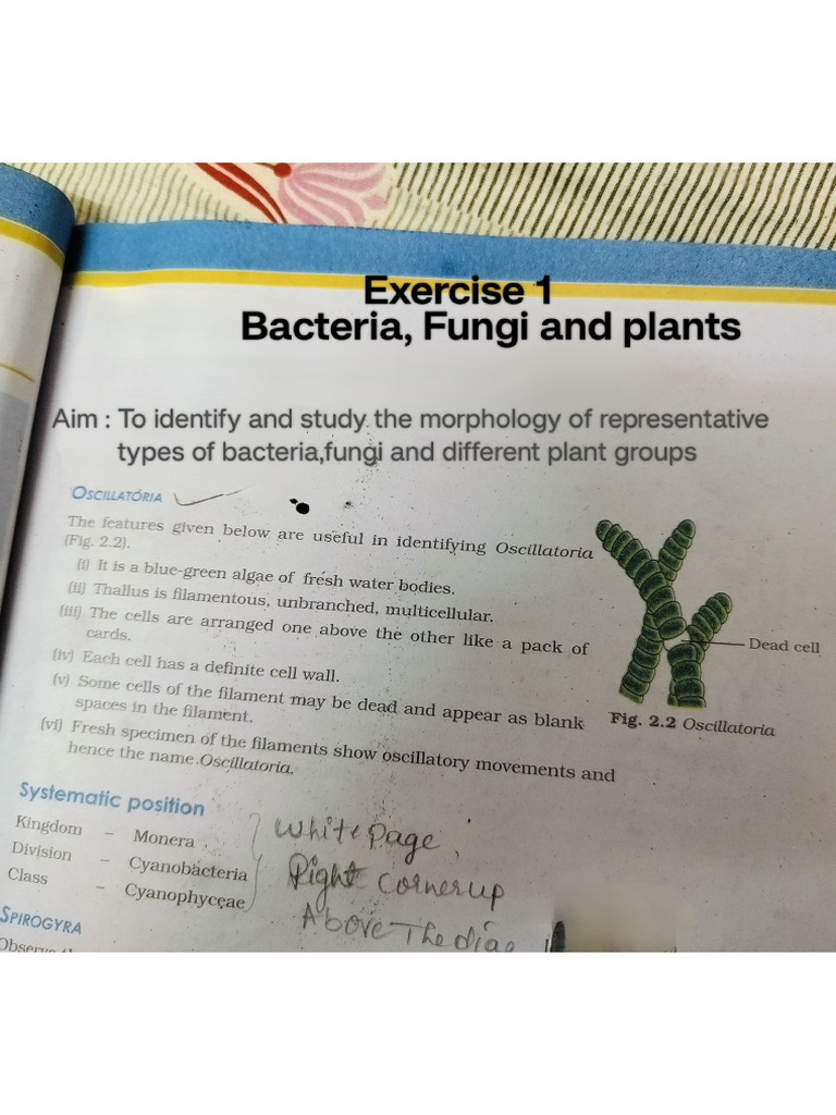 1 Pu Practical Exercises | PDF