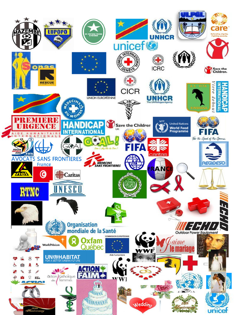 Tous Les Logos de La RDC Words | PDF